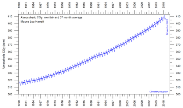 grafico 1